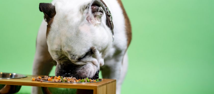 Guía de huesos carnosos en la dieta BARF para perros
